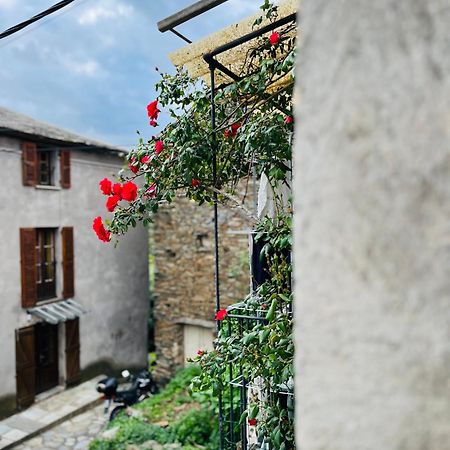 Tres Jolie Maison Aux Portes Du Cap Corse Sisco Dış mekan fotoğraf